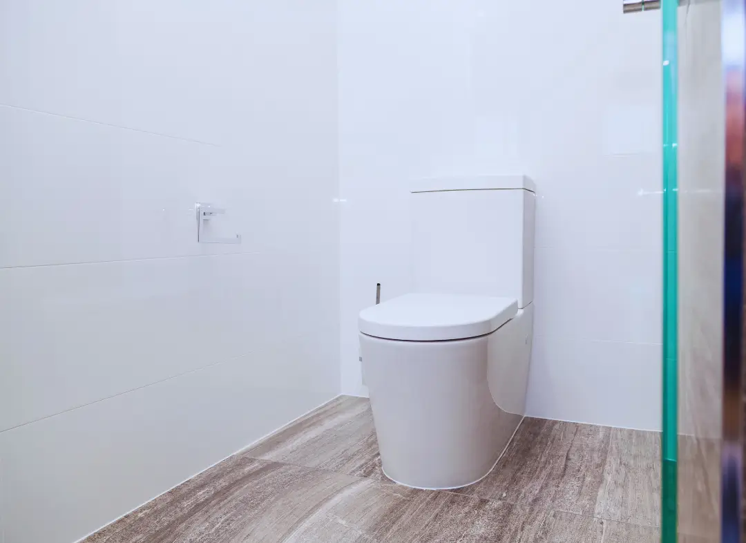 Remplacement de wc Segré-en-Anjou Bleu